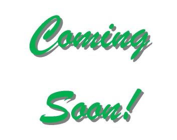 Whispered Bliss Grass-fed Beef Tallow Hand & Body Lotion 17oz